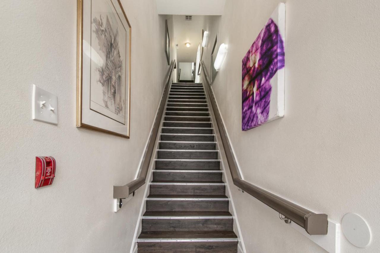 Breathtaking Condos Near French Quarter New Orleans Exteriör bild
